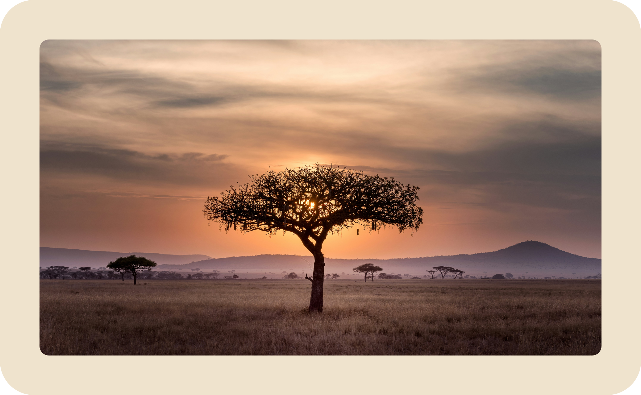 hu-chen-60XLoOgwkfA-unsplash_framed